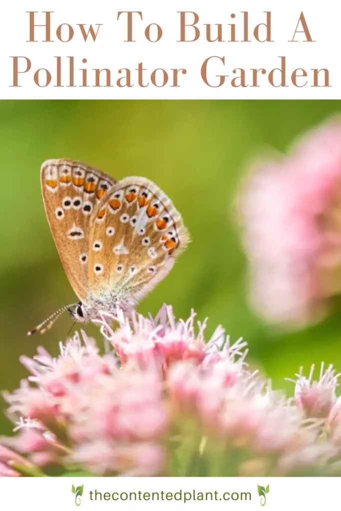 How to build a pollinator garden-pin image