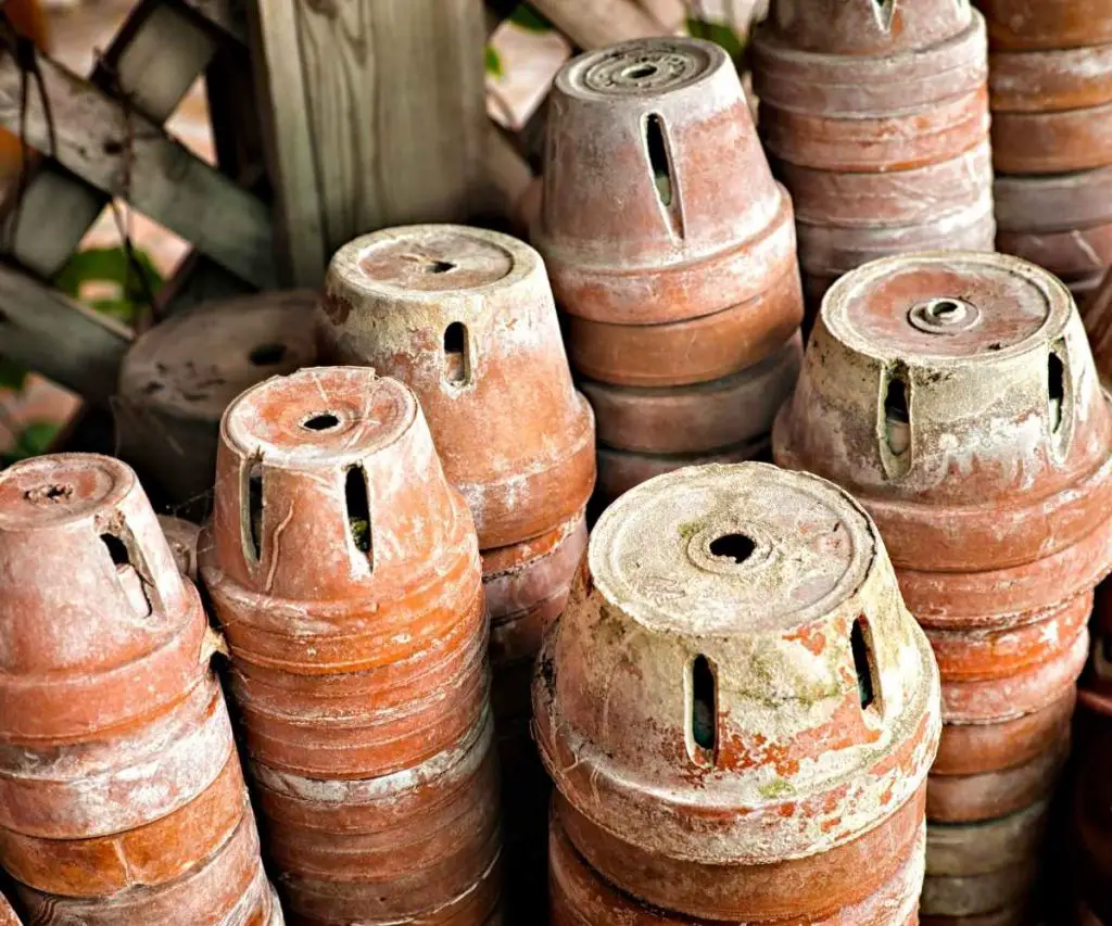 old pots