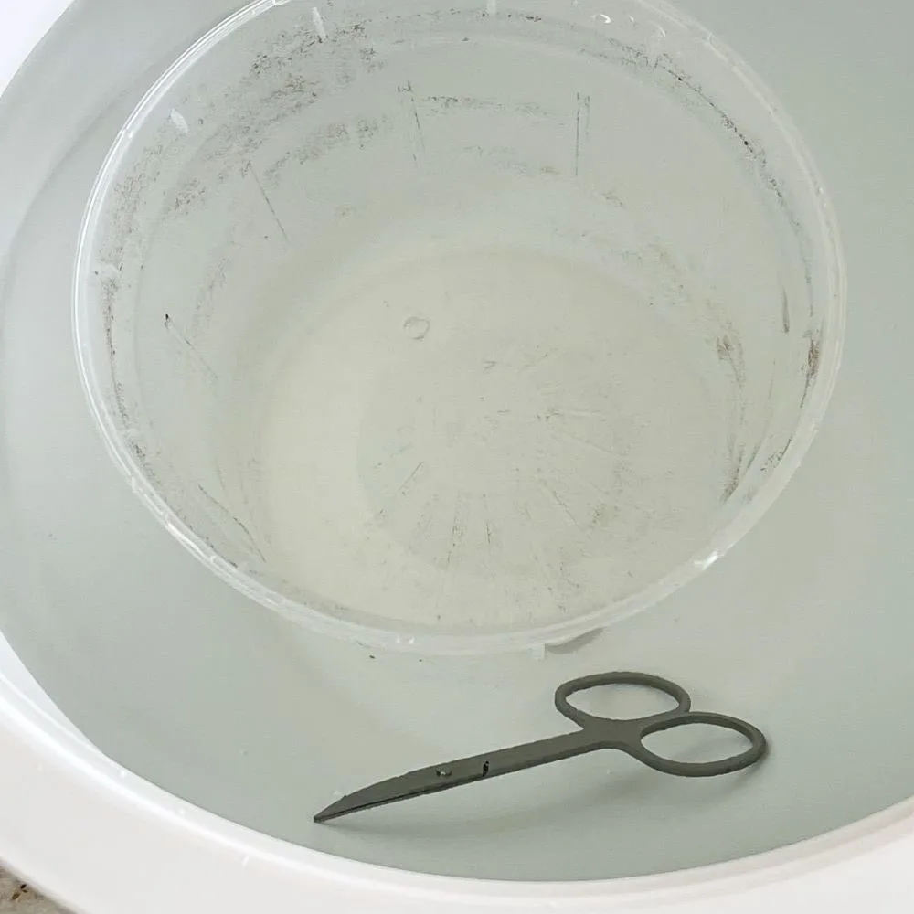 sterilizing bowl of bleach water all utensils