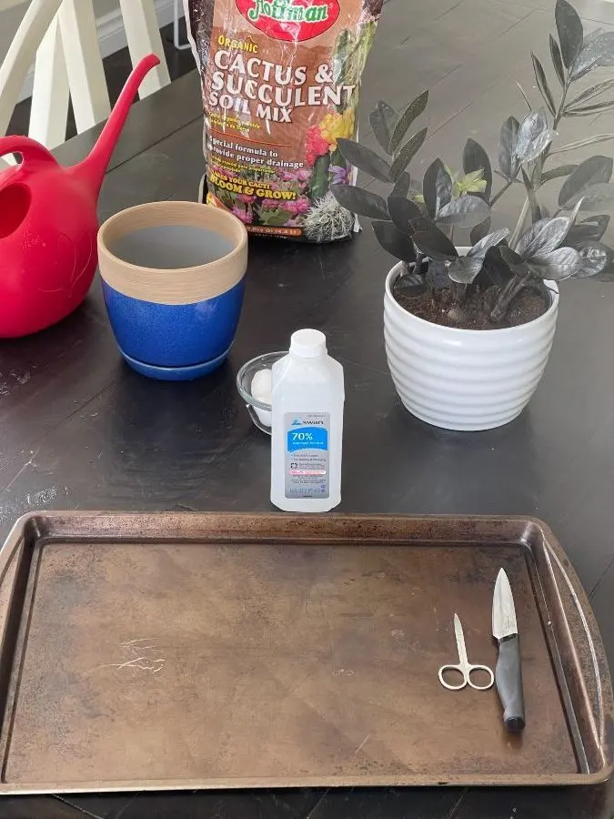 propagating zz plant-tools and materials
