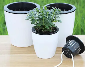 self watering pot