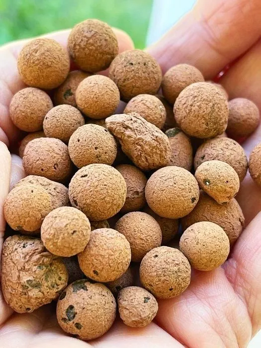 unwashed unsoaked leca balls