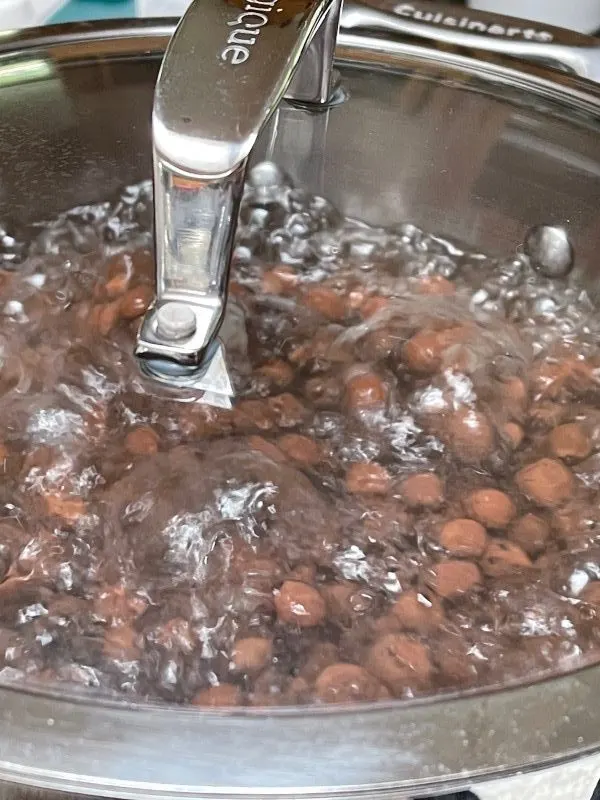 boiling leca balls