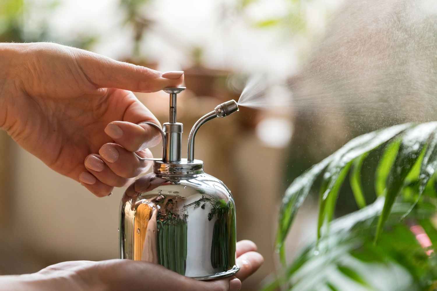 How to Use Hydrogen Peroxide For plants The Contented Plant