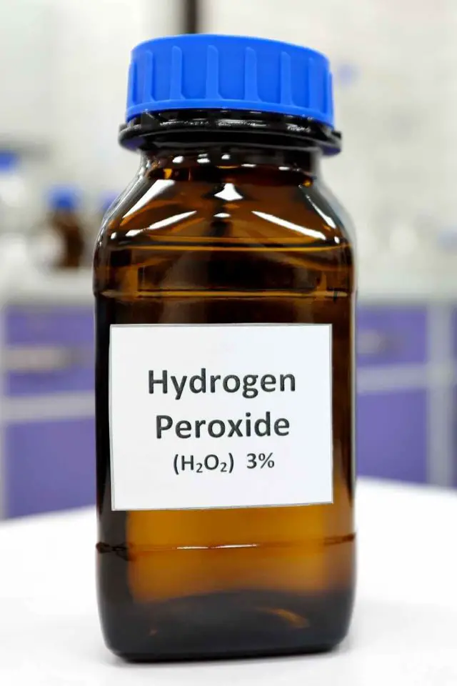 How to Use Hydrogen Peroxide For plants The Contented Plant