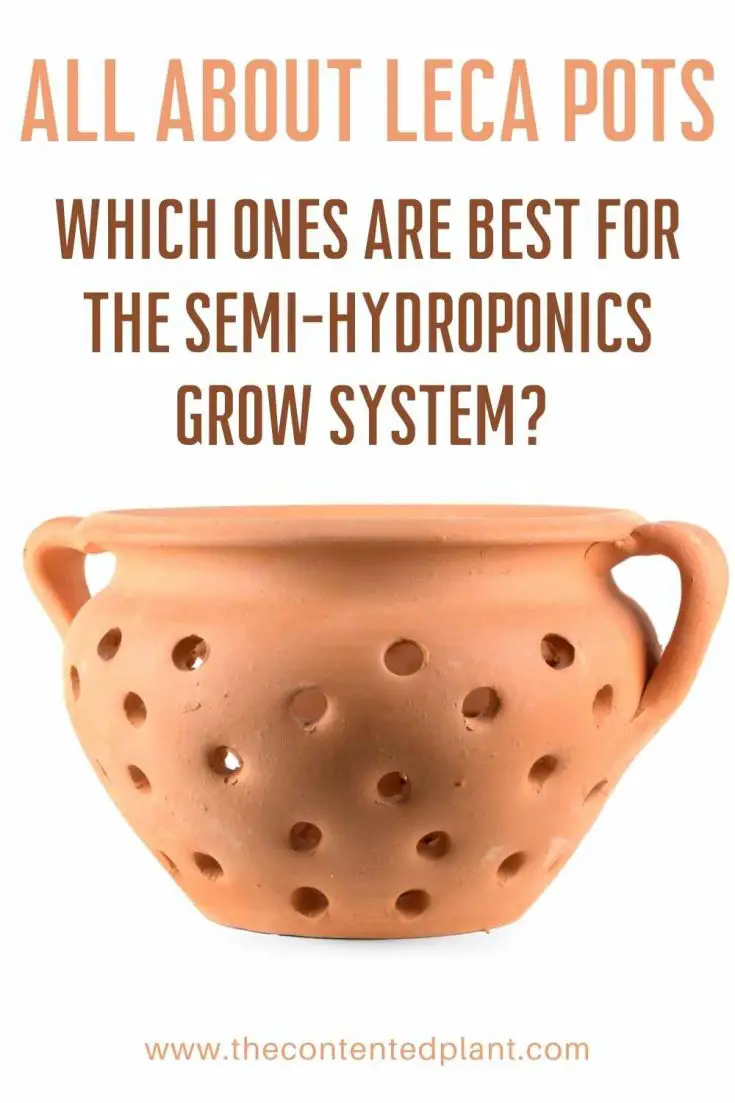 LECA Pots Best Pots For Semi Hydroponics The Contented Plant