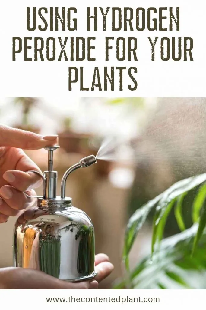 Using hydrogen peroxide for your plants-pin image