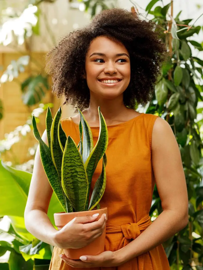 lady holding beneficial houseplant