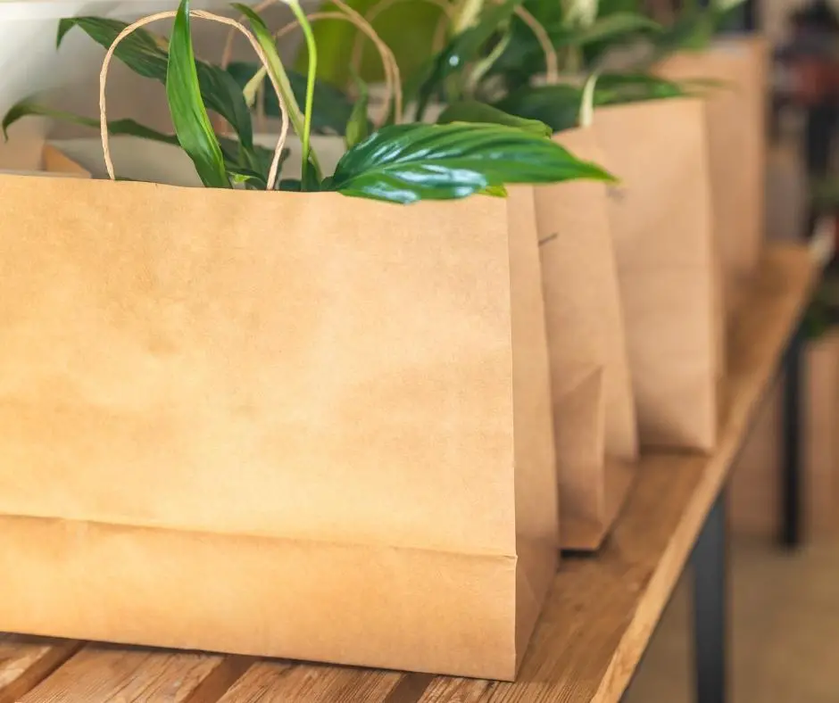 peace lily plant in shopping bag