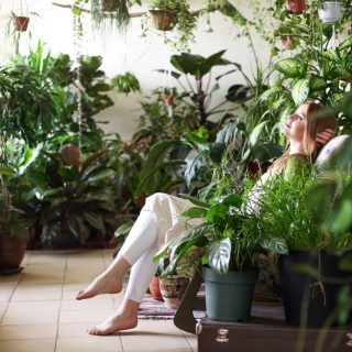 women relaxing with houseplants