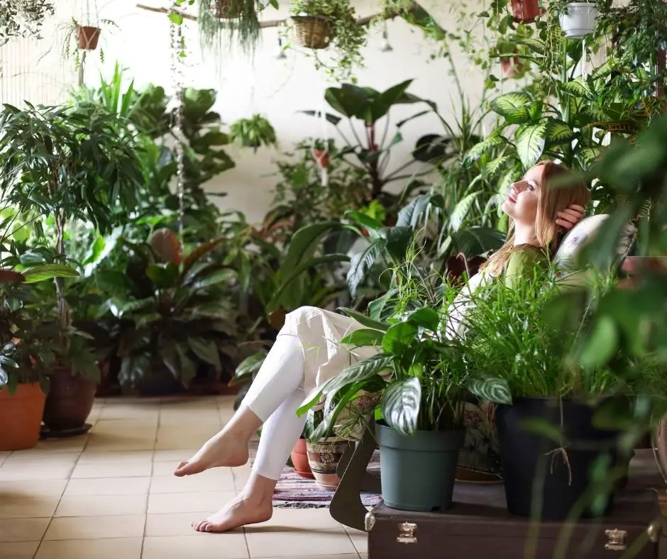 women relaxing with houseplants