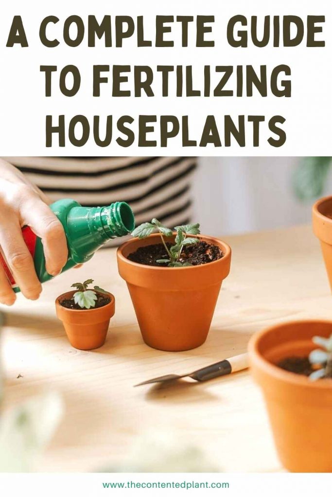 a complete guide to fertilizing houseplants-pin image