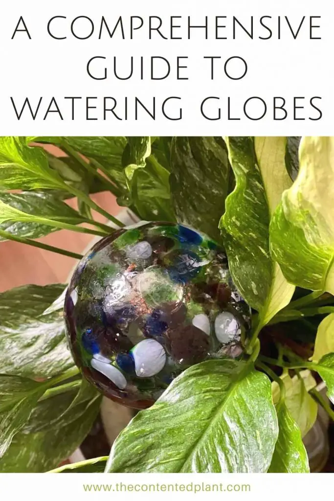 a comprehensive guide to watering globes-pin image