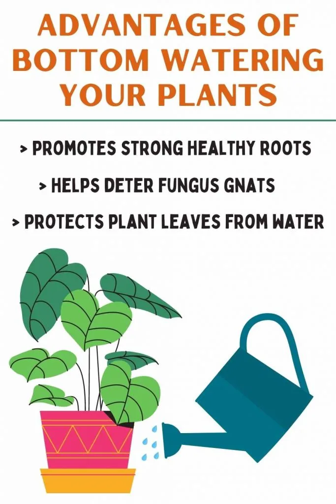 Advantages of bottom watering your plants-pin image