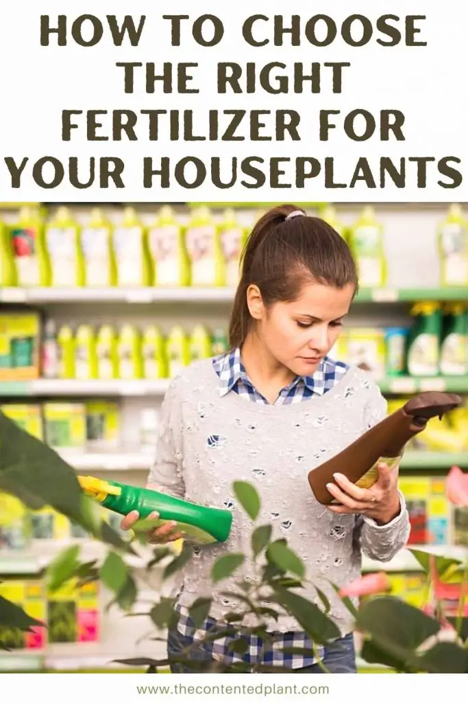 how to choose the right fertilizer for your houseplants-pin image