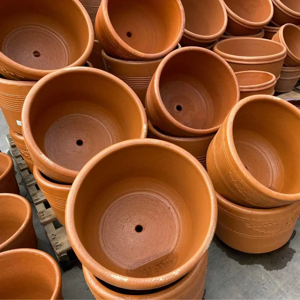 plant pots with a hole on the bottom are necessary when we repot a plant to ensure good drainage.