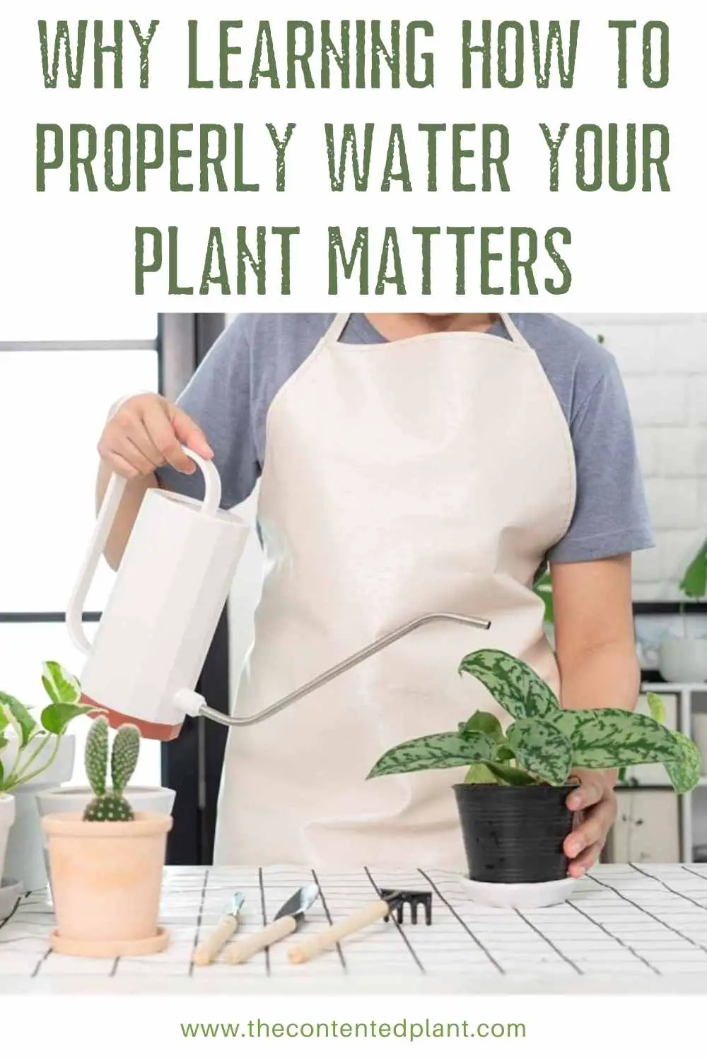 why learning how to properly water your plant matters-pin image