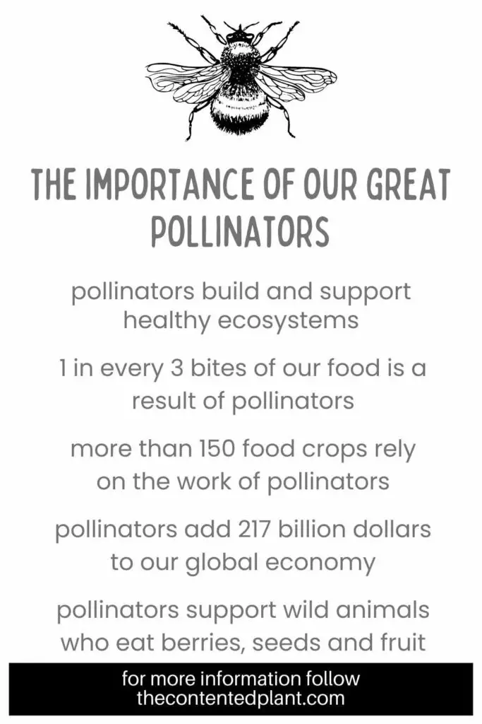 the importance of our great pollinators-pin image