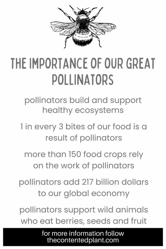 the importance of our great pollinators-pin image
