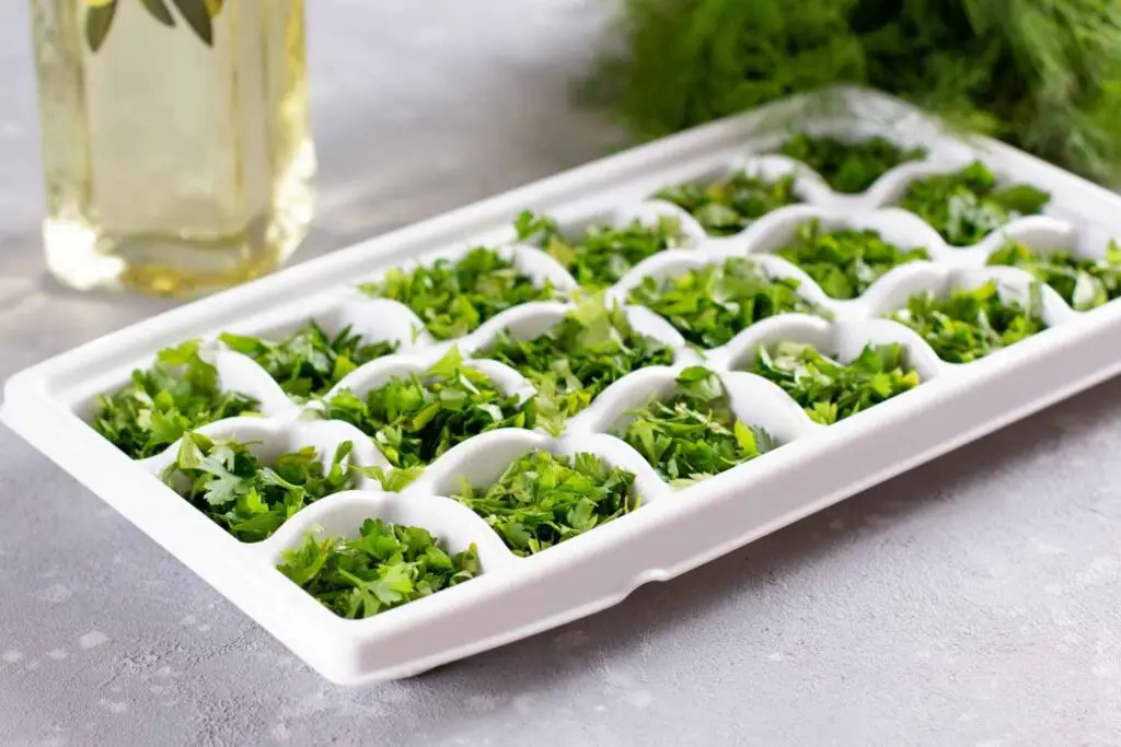 freezing herbs