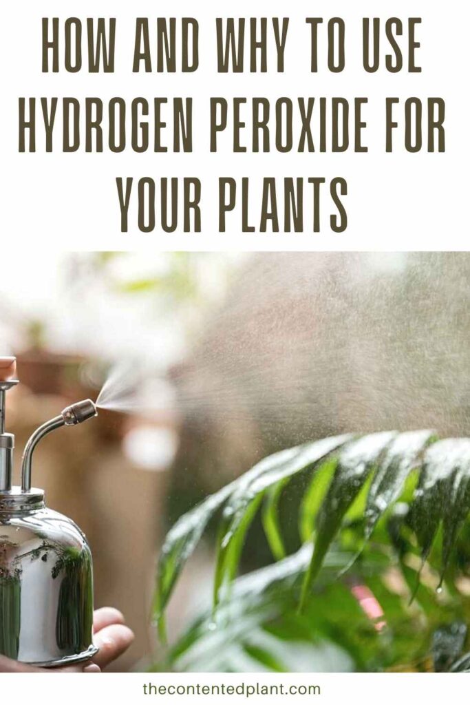 how and why to use hydrogen peroxide for your plants-pin image