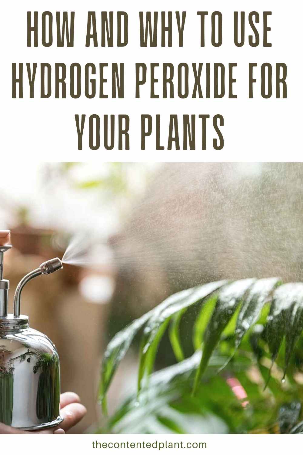 How to Use Hydrogen Peroxide For plants The Contented Plant