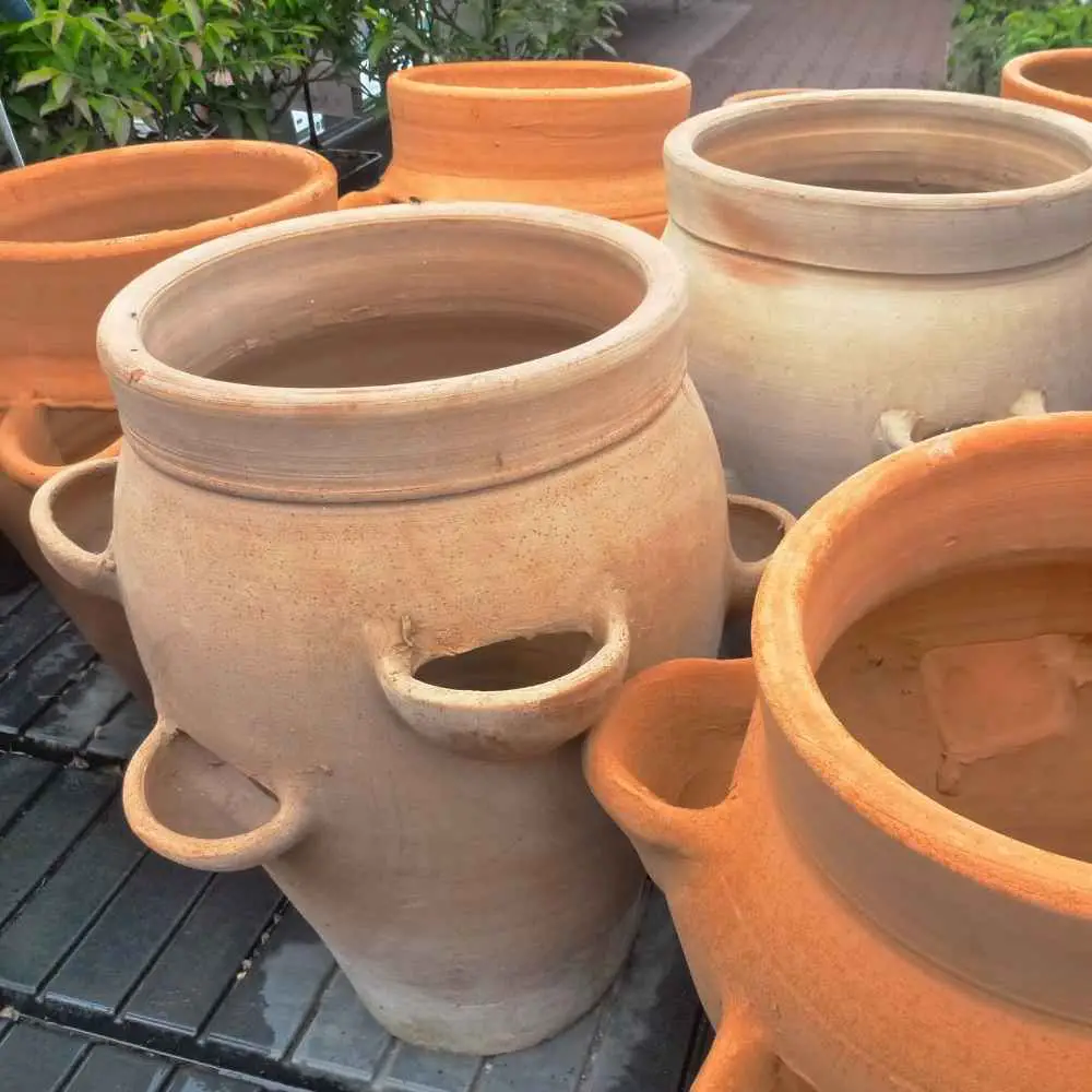 strawberry pots are great for herbs