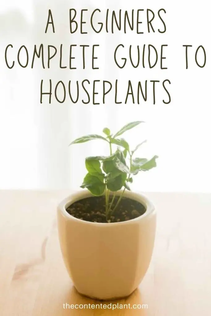a beginners complete guide to houseplants-pin image