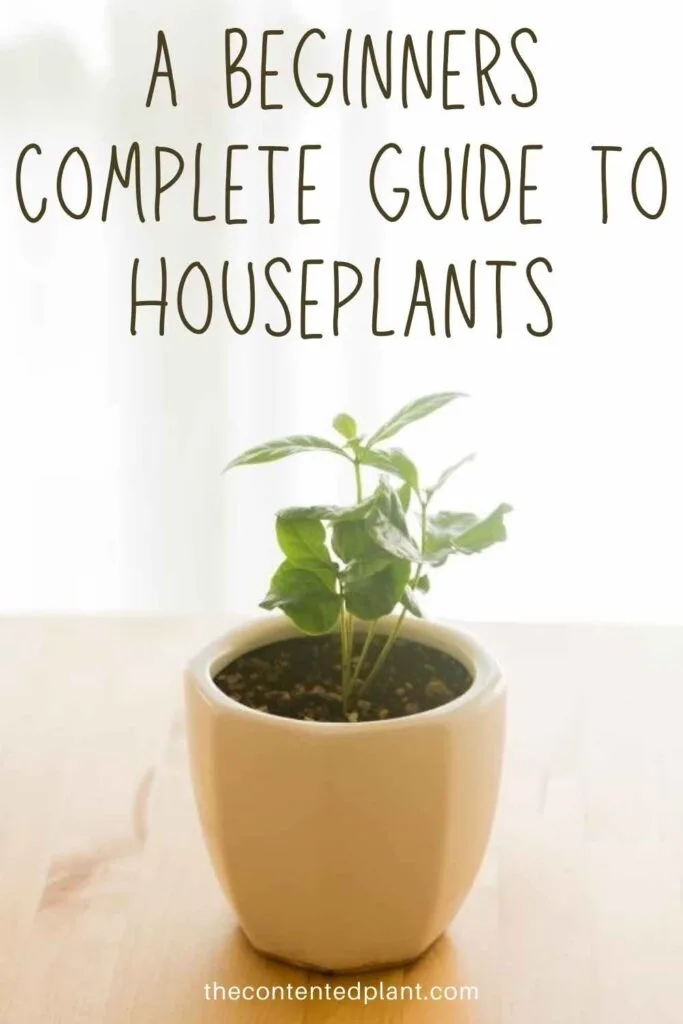 a beginners complete guide to houseplants-pin image