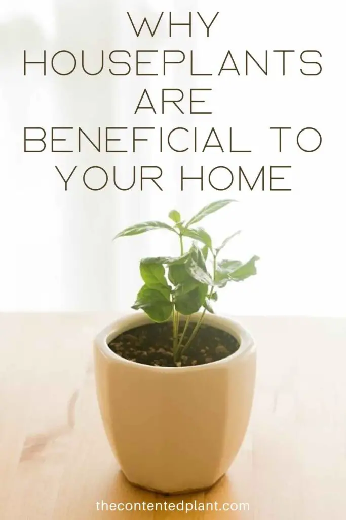 why houseplants are beneficial to your home-pin image