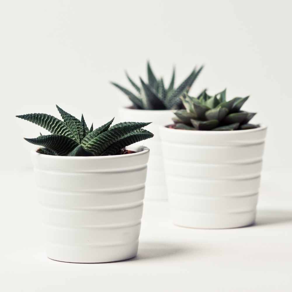 set of minimalists pots