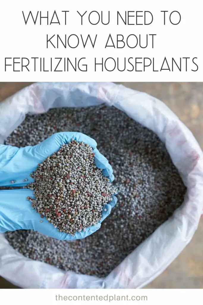 what you need to know about fertilizing houseplants-pin image