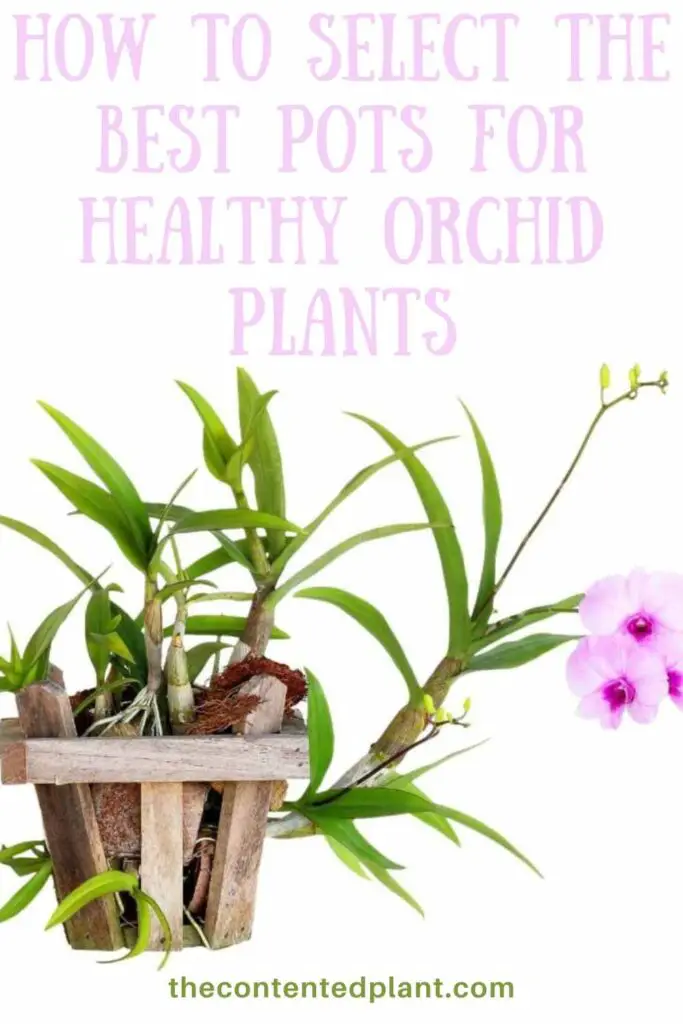 how to select the best pots for healthy orchid plants-pin image