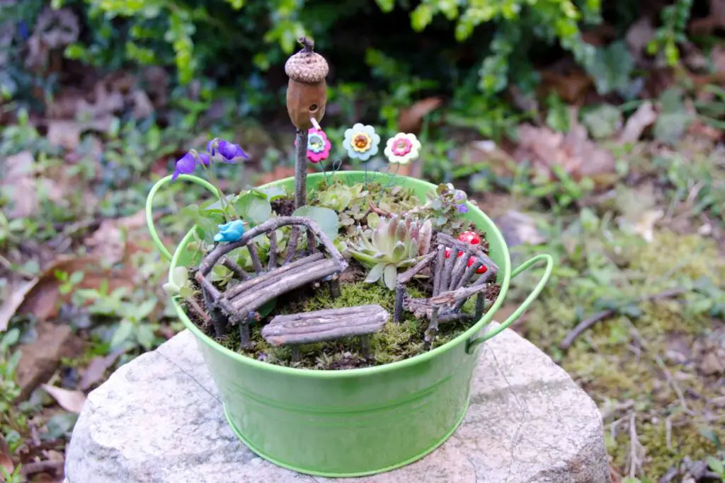 succulent fairy garden