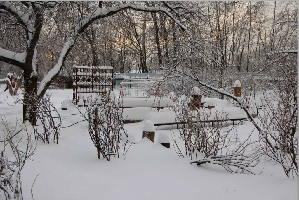 winter garden