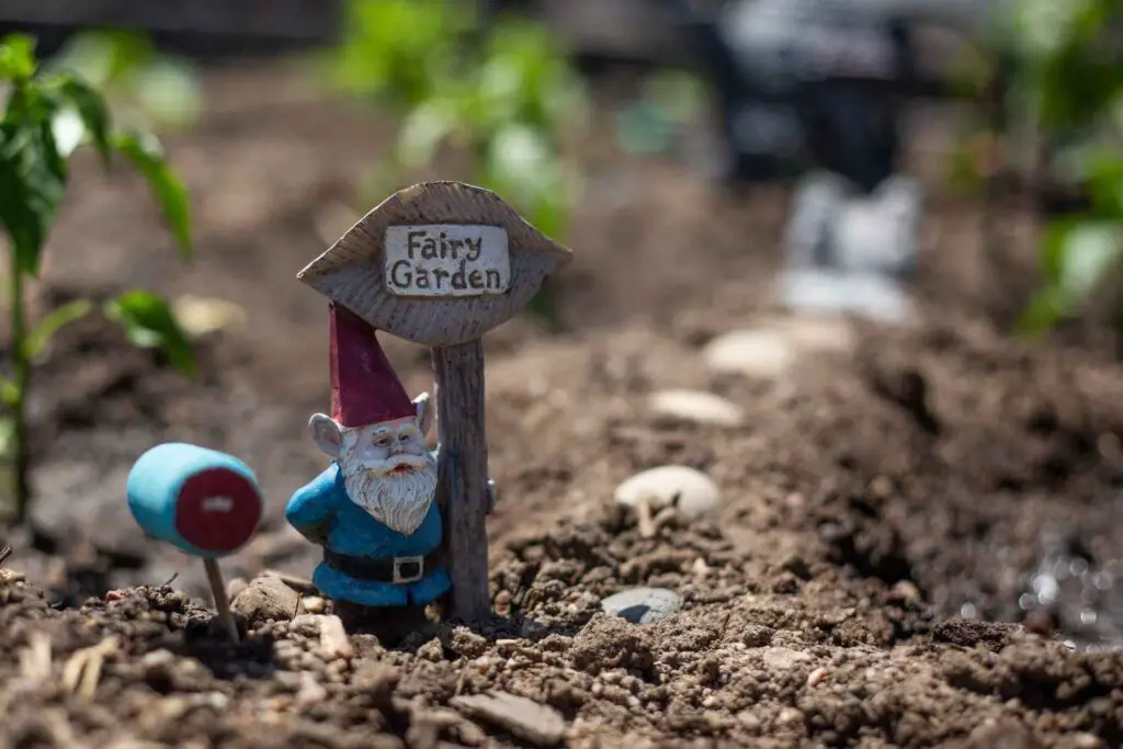 woodland fairy garden